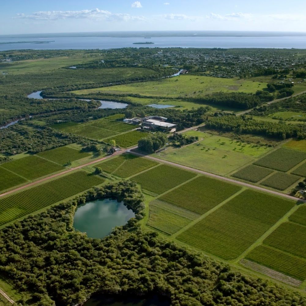 Bodega Familia Irurtia